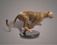   The Cheetah